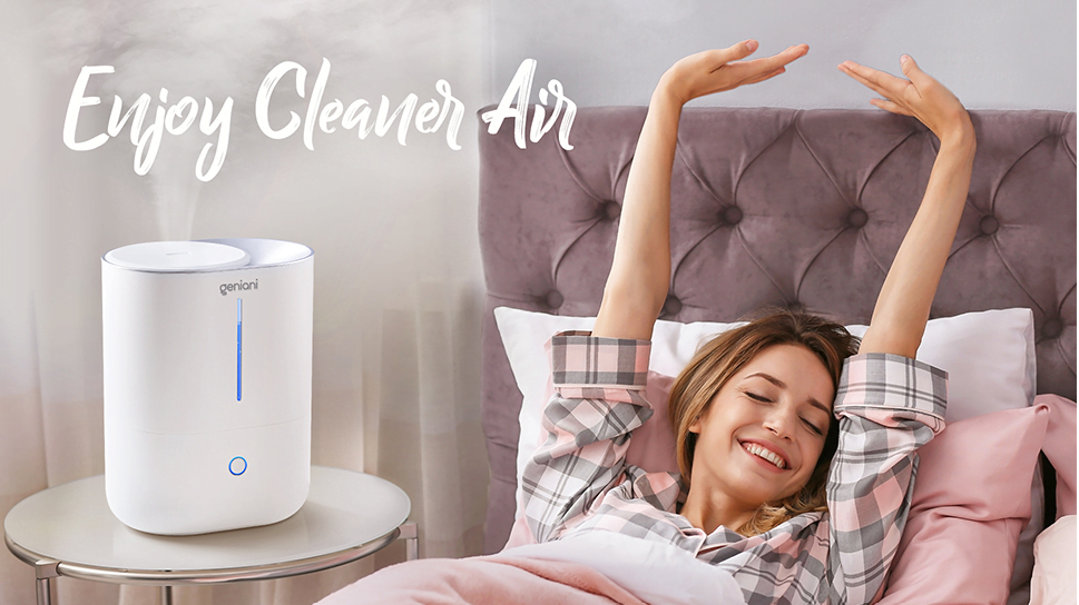 Geniani humidifier