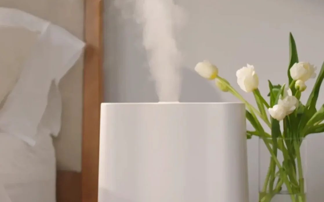 vitruvi humidifier